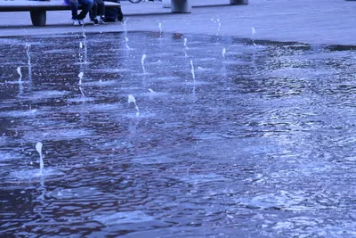 DSC_1605 (Large).JPG